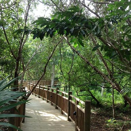 Mayan Palace Vidanta Resort Riviera Maya 莫雷洛斯港 外观 照片